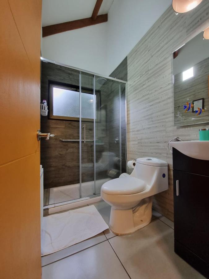 Hostel Torobayo Valdivia Luaran gambar
